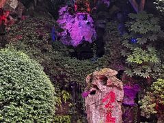 -杭州黄龙洞
