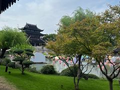-苏州吴宫泛太平洋酒店