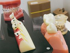 -深圳富茂格伦菲尔口腔门诊部(龙华清湖总院)