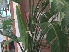 -沼津港精致料理·寿喜烧·烧鸟(青浦宝龙广场日料榜单店)