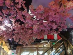 -九田家黑牛烤肉料理(新光汇店)