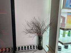 -G-SAGA形象设计