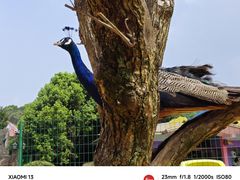 -杭州野生动物世界