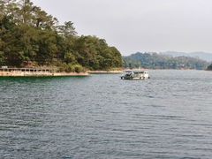 -广州市流溪河国家森林公园