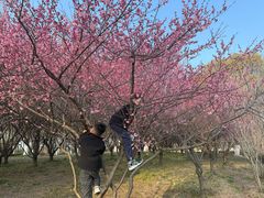 -阳澄湖半岛旅游度假区