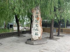 -白洋淀景区