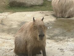-杭州野生动物世界