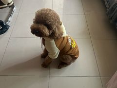 -杨记小炒老店