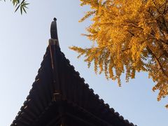 -草桥清真寺