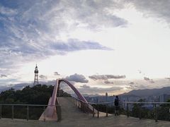 -金鸡山公园