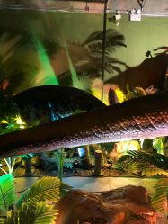 点击看大图 -恐龙探索乐园(磁器口店)