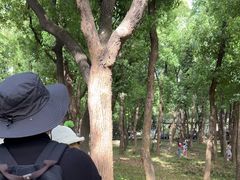 -东湖落雁景区