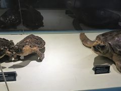 -泉城欧乐堡海洋极地世界