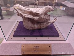 -陕西自然博物馆