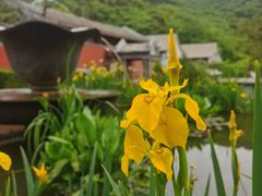 -潭柘寺景区