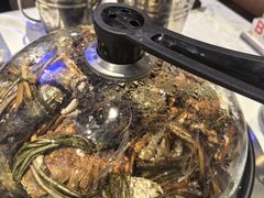 -半岛听涛蒸汽海鲜自助(K11店)