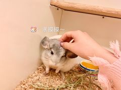 -龙猫仔乐园(惠福东路店)