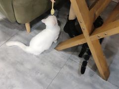 -有何Book(六堰体育馆店)