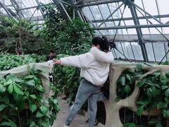 -南山植物园