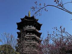 -洋湖国家湿地公园