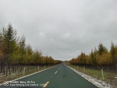 -御道口草原森林风景区