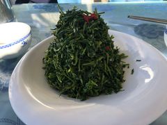 养生枸杞苗-老毛手抓·盐池滩羊非遗手抓(宁夏总店)