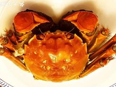 -黄记大闸蟹专卖店·活蟹·醉蟹