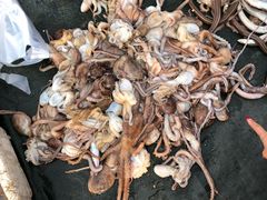 -青岛沙子口国家中心渔港