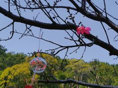 -狐尾山公园