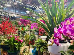 -双季花艺园艺市场(浦东店)