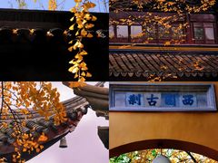 -西园寺