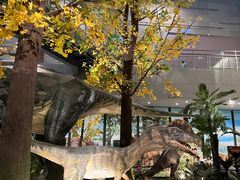 -湖南省地质博物馆