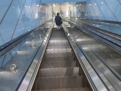 -大龙山(地铁站)