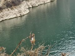 -白帝城·瞿塘峡景区