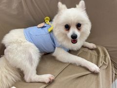 -怪兽屋·羊驼·猫咖·狗咖(俊华广场店)