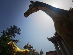 -洛阳白马寺
