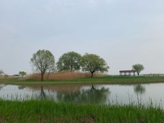 -太湖湖滨国家湿地公园-停车场
