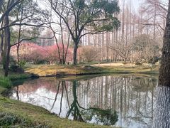 -杭州植物园
