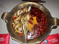 -九鼎轩脆毛肚火锅(三钢里店)