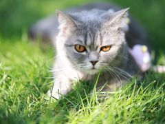 -上海滨江森林公园