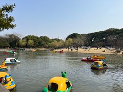 -上海方塔园