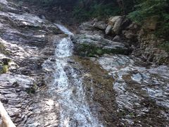 -龙道沟景区