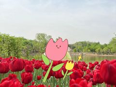 -石家庄市植物园