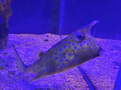 -太平洋海底世界