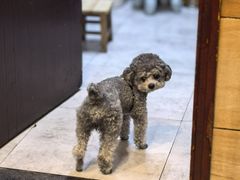 -三鞭一花·独一处·元英砂锅(海光寺店)