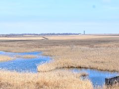 -盐城丹顶鹤湿地生态旅游区