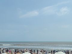 -日照海滨国家森林公园