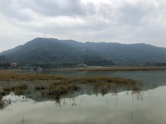 -艾米稻香小镇