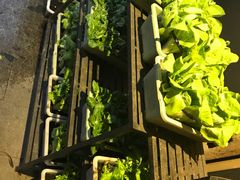 -旅马餐厅(茅家埠店)