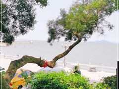 -淇沙湾渔村餐厅